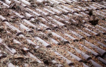 Burnfoot roof cleaning companies